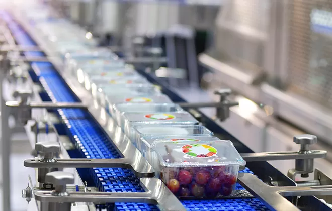 Food and Beverage Industry