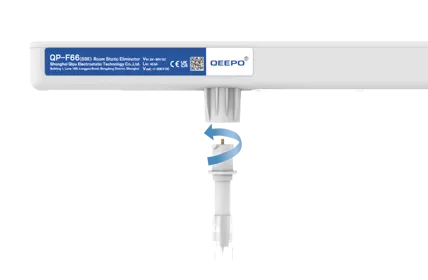 Detachable Electrode Placement