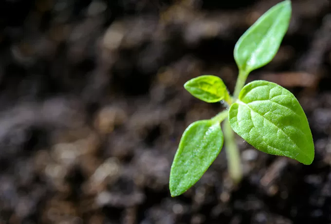 Regarding the Environment